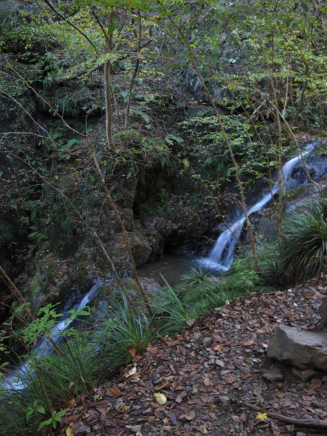 20181115hike (46)